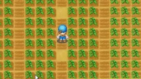 牧场物语怎么才能挖到贤者之石