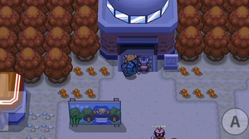 pokemmo神奥培育屋在哪里