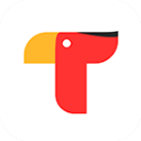 触电新闻苹果版